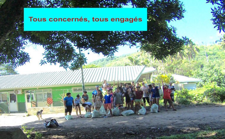 event image 1590972429 les bourdons de moorea comptent sur vous