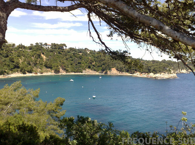 event image 1591883000 nettoyage deconfinement anse mejean plage de la batterie basse