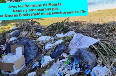 event image 1592115199 atiha de lautre cote de lile avec les bourdons