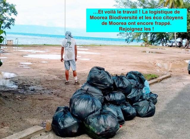 event image 1597617751 haapiti cest pas fini