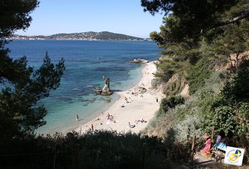event image 1598980251 collecte dechets sauvages plage de la mitre