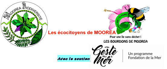 event image 1603650549 cest assez le bis de la semaine