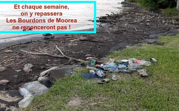 event image 1604257523 le mercredi cest 2 foiscote tiahia cette fois