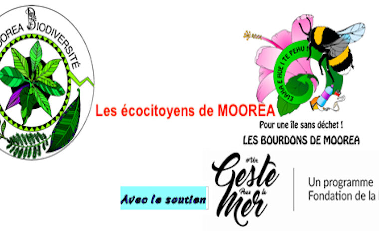 event image 1605483450 1 3 cest lundi