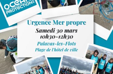 event image 1710315927 nettoyage de plage urgence mer propre