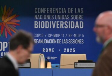 cop16