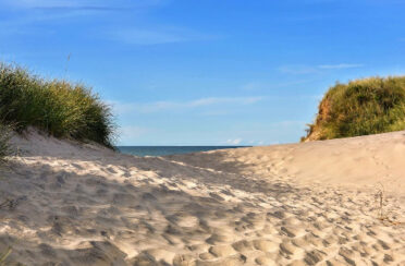 FDLM_Gravelines