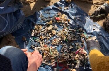 Activités autour de la laisse de mer et ramassage de déchets IMG_1829