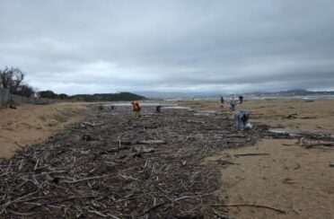 collecte-st-aygulf-21