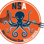 nsa_petit