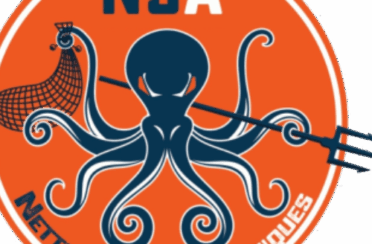 nsa_petit