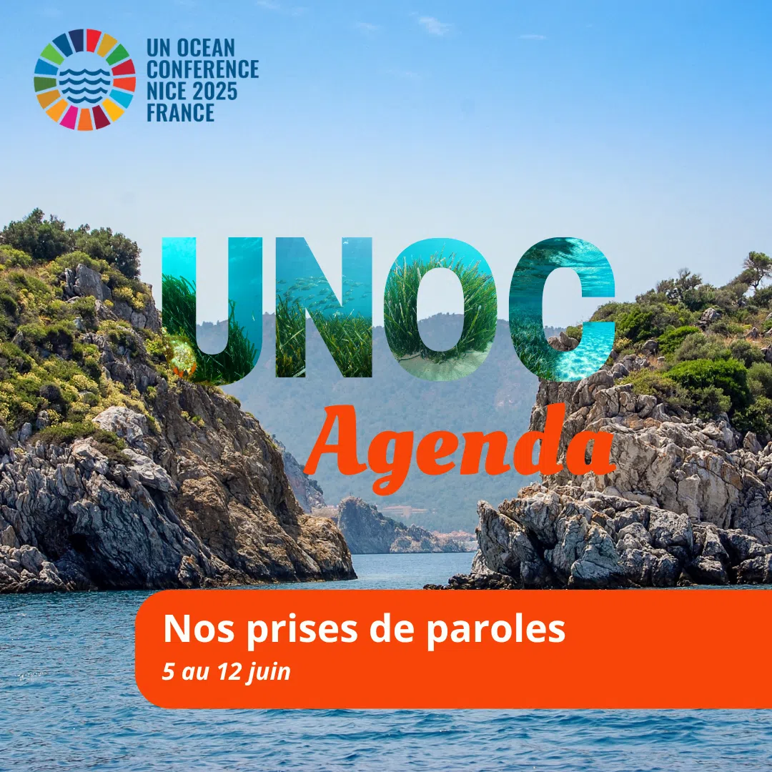 UNOC