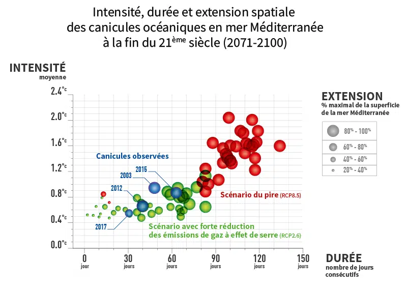 canicule marine
