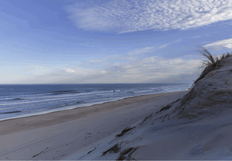 Dune©Giada Connestari _ ONF