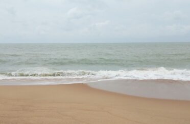 IMG_20250320_115446_178