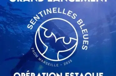 Sans-titre-11