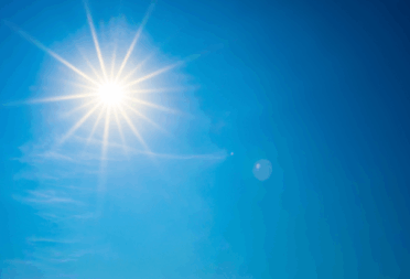 canicule marine