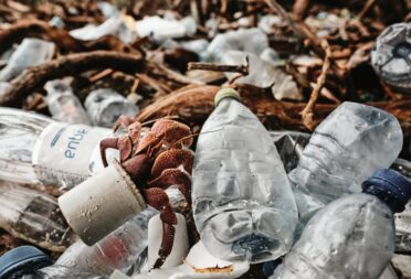 Pollution plastique