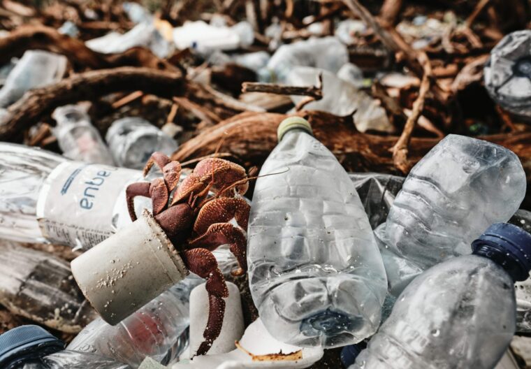 Pollution plastique