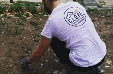73422537_468193887376116_8893073035859329024_n
