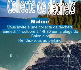 Collecte-Galon-dOr-11-octobre-2025