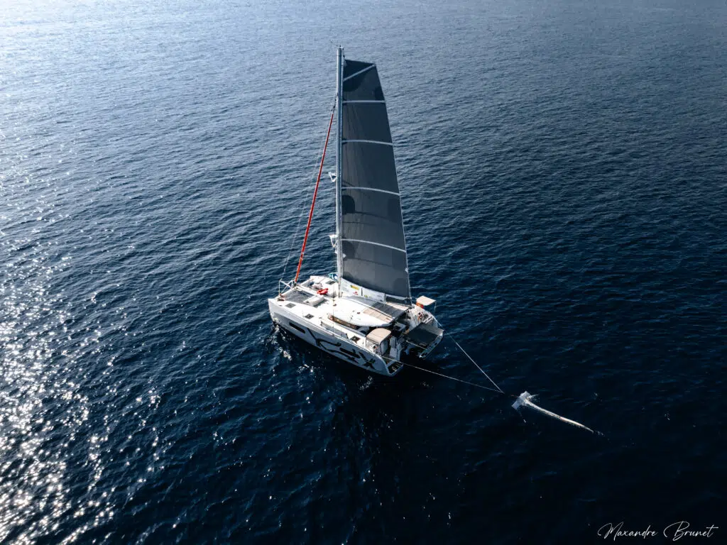 Mare vivu