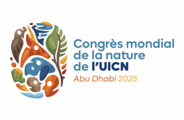 logo pour site FDM-7