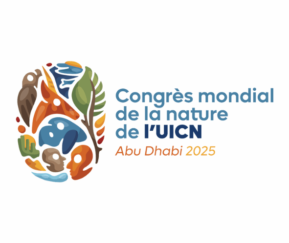 logo pour site FDM-7