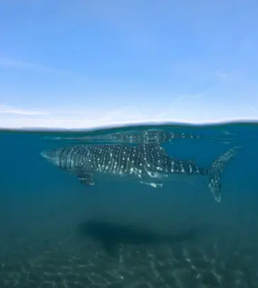 DCIM100GOPROGOPR0386.JPG