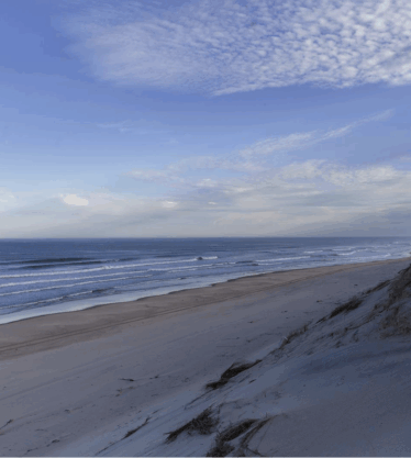 Dune©Giada Connestari _ ONF