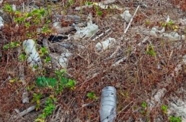 IMG_20230701_115959_84