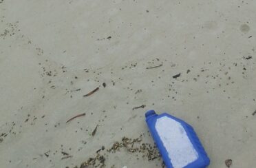 IMG_20251016_0916022