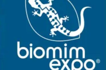 Proposition 1 (12)-5