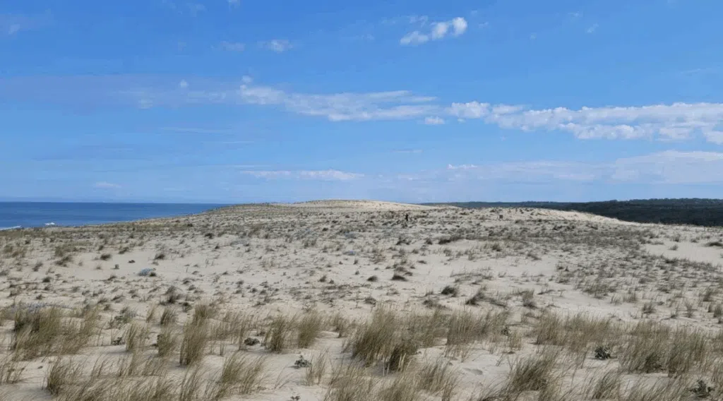 Sentier dune Porge ©ONF (1)