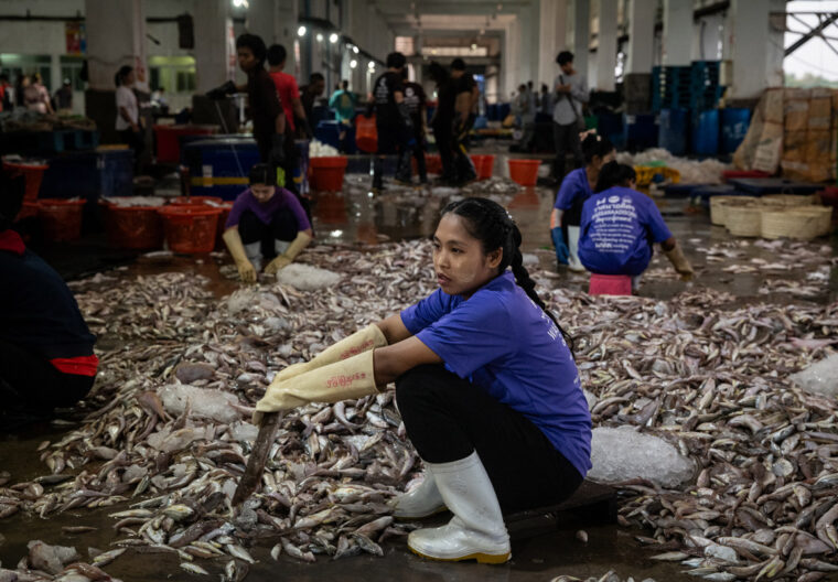 nicole-tung-fisheye2