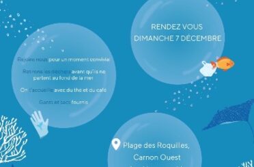 2bd145df-1841-4b88-a234-bc2b94e8d65a