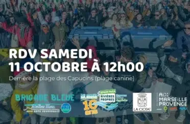 depoll-laciotat-canine