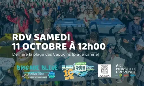 depoll-laciotat-canine