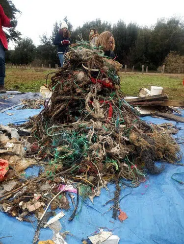 50422529_2205088553091337_4148887254875504640_n1