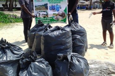 Collecte_29_11_2025_D