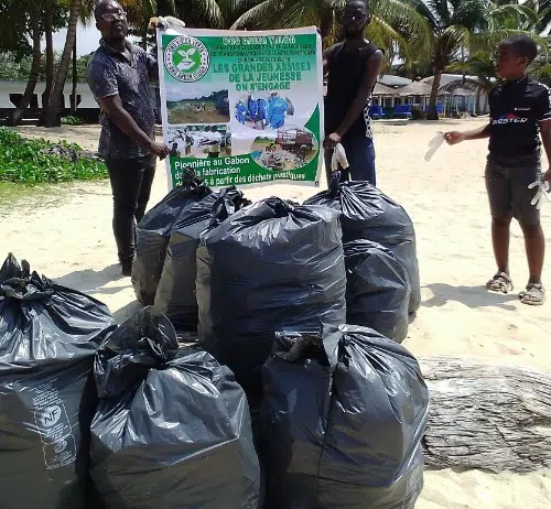 Collecte_29_11_2025_D