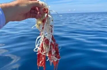 IMG_20251204_1456142