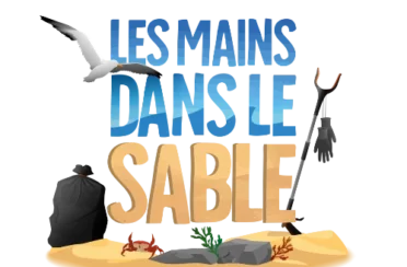 Logo-LMDLS-Principal-SANS-SLOGAN-PNG-1024x975-11