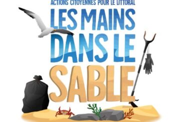 Logo-les-mains-dans-le-sable