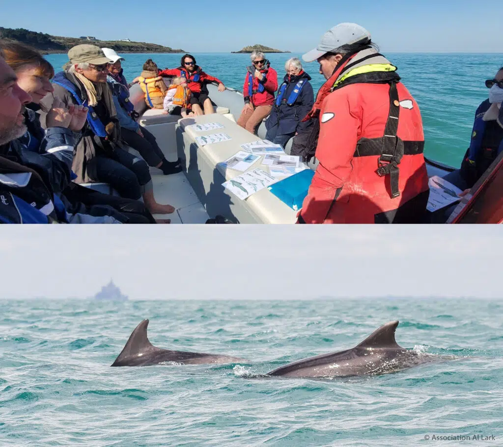 ©️AL LARK - Briefing en mer sur l’identification des mammifères marins 