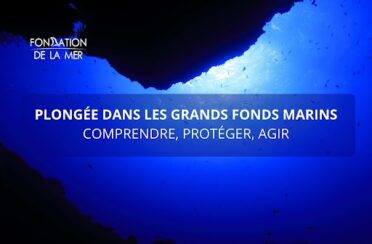 visuel grands fonds marins