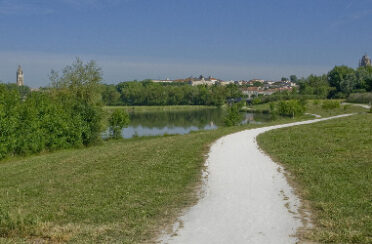 la-palu-redim-1920x960-crop-1543770957