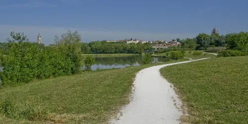 la-palu-redim-1920x960-crop-1543770957