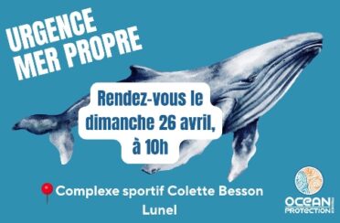 2d1e25d2-7cdf-40fe-bd99-760092a9504f