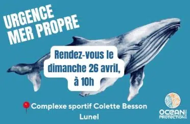 2d1e25d2-7cdf-40fe-bd99-760092a9504f